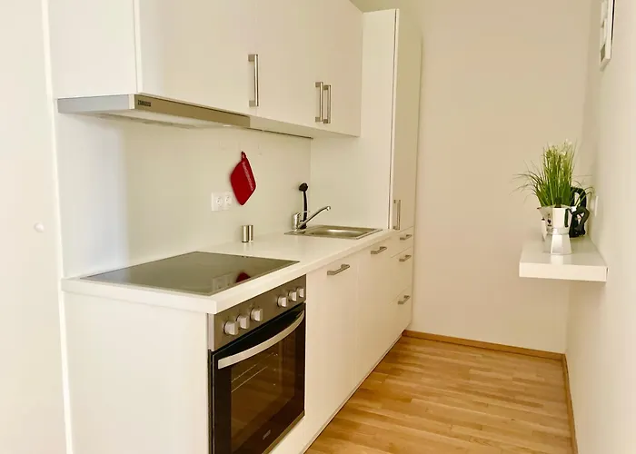 55 M2 Stylish With Balcony & Free Parking ウィーン