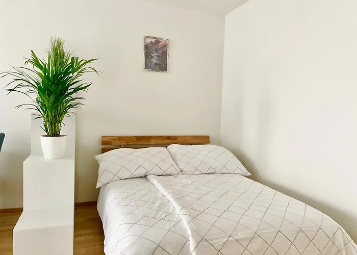 55 M2 Stylish With Balcony & Free Parking ウィーン